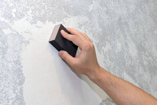 Best Airborne Mold Testing  in Trappe, PA