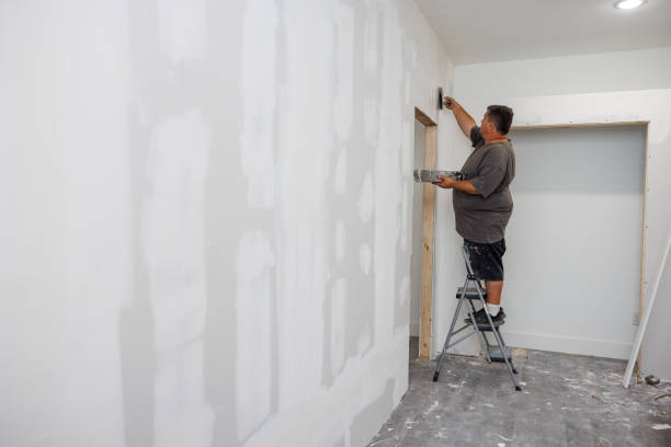 Trappe, PA Mold Removal Company