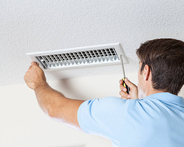 Best Mold-Related Health Consultation  in Trappe, PA
